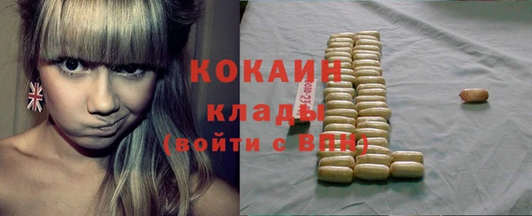 винт Верея