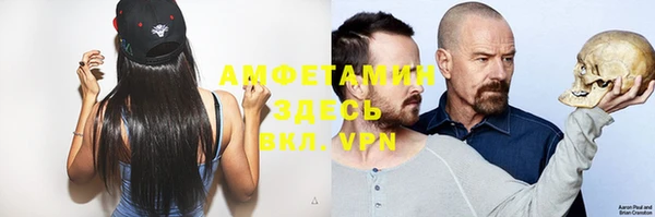 винт Верея