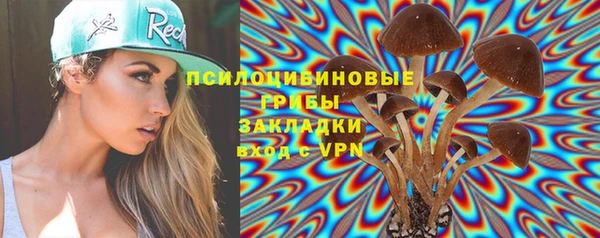 винт Верея