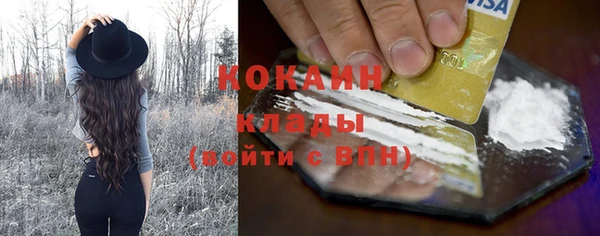 винт Верея