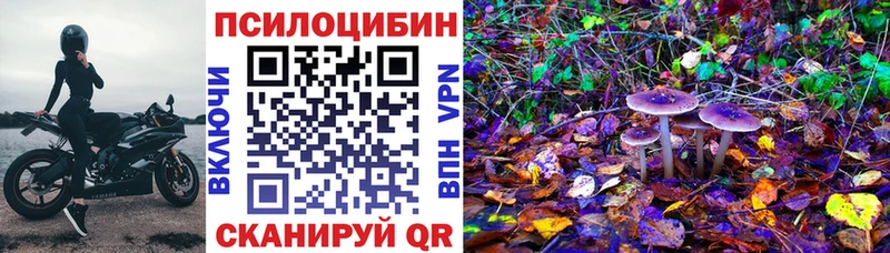 мега маркетплейс  сколько стоит  Наволоки  Псилоцибиновые грибы мухоморы 